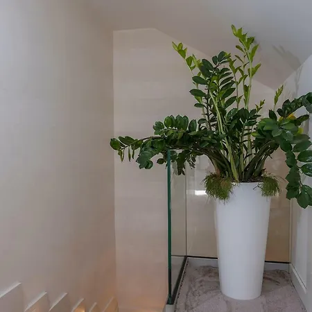 Green Room ゲストハウス ドゥブロブニク